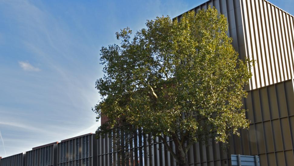 LAMDA building