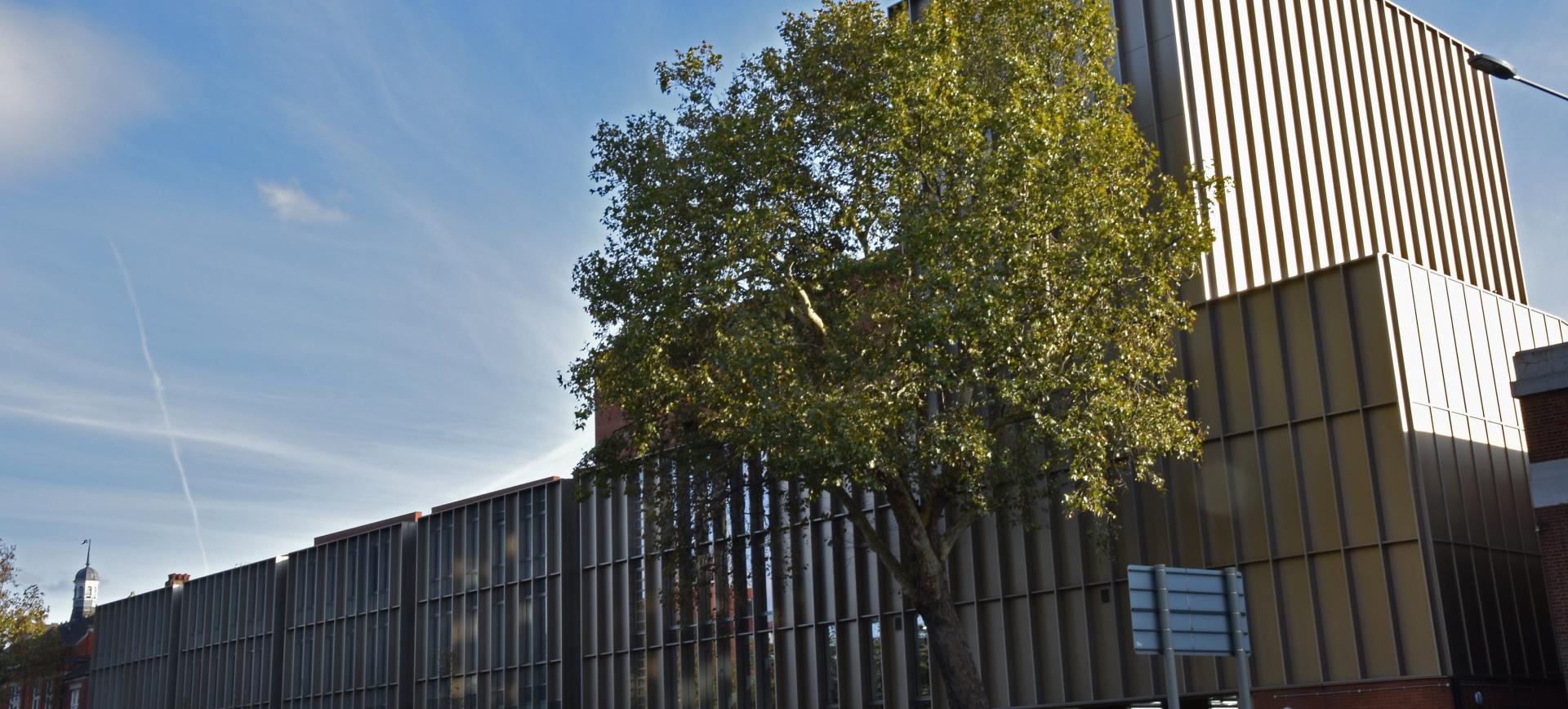 A tree stands beside a modern building with vertical metal cladding, under a blue sky